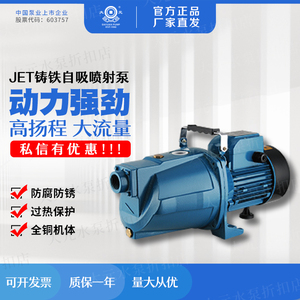 大元JET型喷射泵220V自吸泵电动自来水增压泵井水抽水高楼加压泵