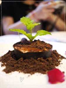 可食用巧克力泥土分子美食原料土壤意境菜装饰黑万物生长沙拉弹