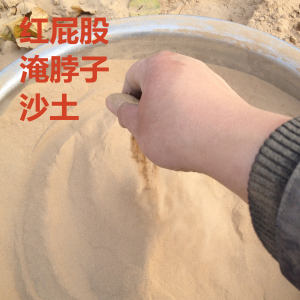 黑龙港沙土宝宝红屁股淹脖子红破皮幼儿新生婴儿熟沙土尿布湿土裤