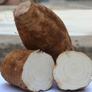 新鲜粉葛葛根煲汤山地黄泥葛清甜粉糯龙门特产鲜甜粉葛10斤