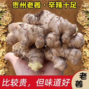 贵州特产农家新鲜自种泥巴老姜生姜炒菜炖汤调味佐料植物月子姜泡