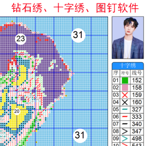 软件云钻画十字绣线绣5d钻石画定制diy照片图钉画数字油画标号