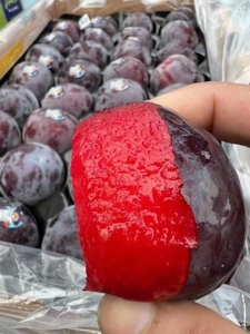 御果庄园诚信店淘宝智利进口品种粉红玫瑰李2斤新鲜红布林李子恐龙