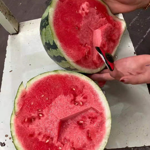 现货当季限量翡翠蒂西瓜1号40斤以上 4只 装脆甜多汁海南麒麟西瓜