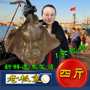 1份4斤整条老板鱼魔鬼鱼新鲜鲜活冷冻海鲜鲽鱼老子鱼瑶鱼老板鱼