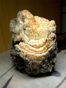 戈壁石老皮沙漠漆