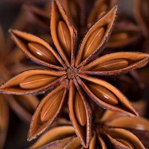 原产地广西大红八角新货新鲜足干大料香料商用家用无添加无硫火锅