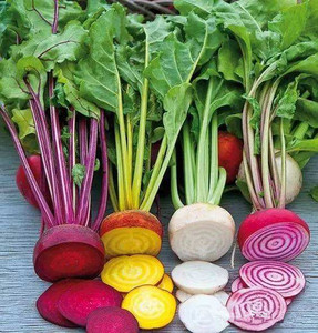 条纹萝卜 螺旋纹红菜头 小甜菜根 拼盘装饰用 16.8/500克