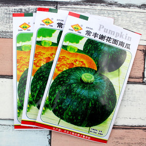 日本甘栗南瓜种子绿贝贝南瓜种籽谢花面甜糯南瓜孑四季播籽种