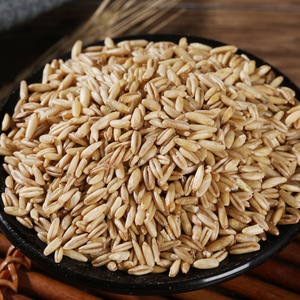 新燕麦米2斤东北2020新米全胚芽米五谷杂粮农家自产粗粮食用麦仁
