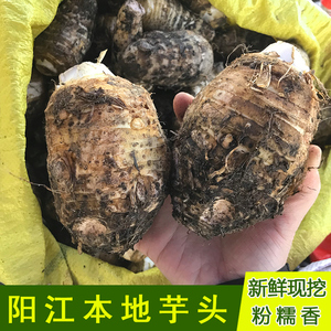 广东阳江芋头香芋5斤粉糯香新鲜现挖农家种植槟榔芋蔬菜红芽芋头