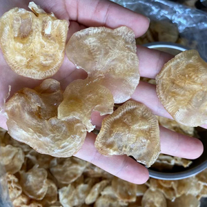 小赤嘴鱼胶鲶鱼胶美颜花胶干可做花胶奶冻 正品鱼胶干货500g