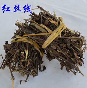红丝线草药