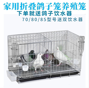 包邮特大号鸽子笼养殖笼鸽子配对笼不锈钢色家用鸽子笼用品用具