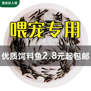 草鱼淡水养殖小鱼苗青鱼鲤鱼鲈鱼食用鲫鱼龟食活体饲料冷水鱼包邮