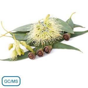 芳疗级精油 100%柠檬尤加利精油10ml$20元 产地印度