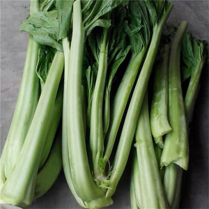 5斤青菜杆四川宜宾青菜农家自种新鲜蔬菜青菜杆芥菜泡菜现砍现发