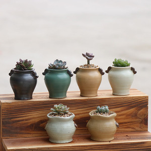 d万象盆创意手绘吸水透拇指盆控型盆种桃蛋玉露多肉陶瓷老桩花盆