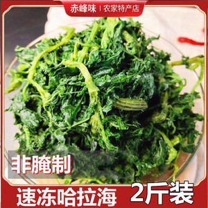 野生哈拉海速冻山野菜内蒙古赤峰克旗野菜干东北哈拉海饭店用包邮