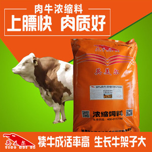 肉牛浓缩饲料