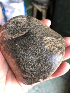 黑龙江远古蕨类植物化石天然牛角冻透草花玉原石雕刻料摆件255克