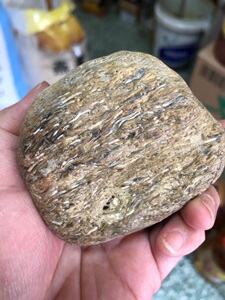 黑龙江天然明丝草花玉桫椤化石标本原石手把件雕刻料摆件255克