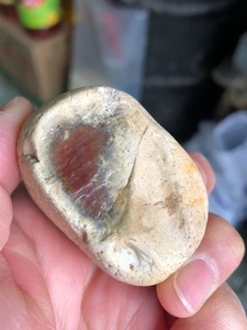 黑龙江天然完整玉化好白皮泥石原石观赏石奇石雕刻料手把件85克