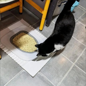 新款猫厕所训练器猫厕蹲坑训练器可拆卸循环使用马桶节省猫砂