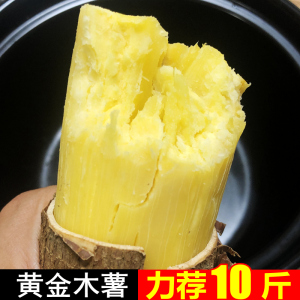 黄心木薯新鲜5斤黄金木薯现挖粉糯食用糖水广西黄肉鸡蛋面包木薯