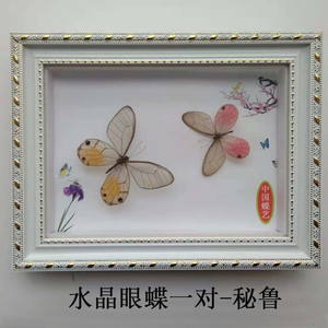 真蝴蝶标本昆虫相框巴黎碧凤帝王蝶 工艺品收藏生日结婚送礼div