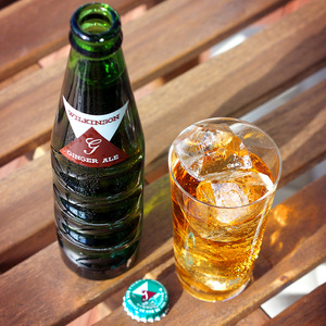 日本朝日wilkinson ginger ale辛辣姜汁汽水碳酸饮料190ml玻璃瓶