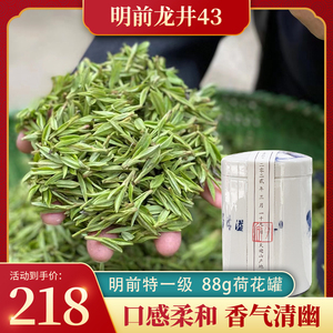 龙井43一级