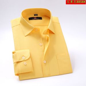 大黄色衬衫男商务休闲男士工装彩棉正装纯色职业衬衣演出服黄寸衣