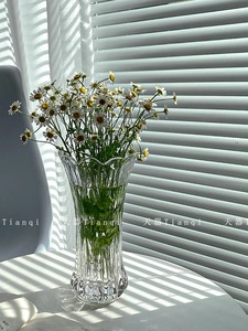 现代简约凤尾花瓶玻璃透明水养鲜花客厅凤尾花瓶高级感居家装饰