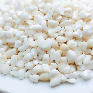 广东本地脱皮珍珠糯白玉米粒农家土特产白玉莲白玉米糁苞谷米250g