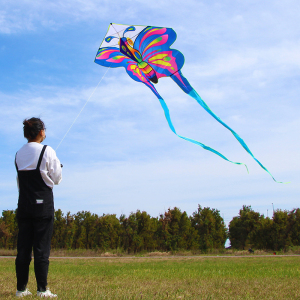 可爱长尾蝴蝶风筝女孩儿童初学者新手小号高档成人微风易飞放风筝