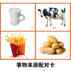 事物来源配对卡 自闭症卡片儿童孤独症语言认知aba康复训练教材