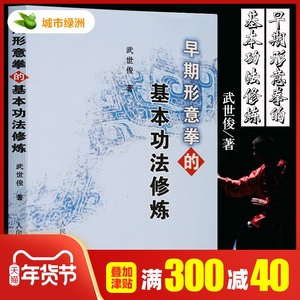 武当武术书籍 心法 形意拳书籍 形意拳内功 气功入门自学教材