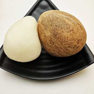 【现货】印度海椰皇海椰王干椰子去皮水果皇海底椰海椰子王炖汤