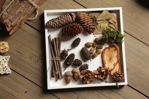 自然物 森林宝贝天然松果松球松塔 果实装饰 创意diy手工制作材料