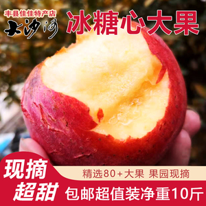 2023正宗徐州大沙河新鲜红富士丑苹果脆甜产地现摘直发冰糖箱包邮