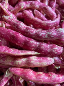 新鲜红金钩豆角 500g  京津冀满68包邮顺丰