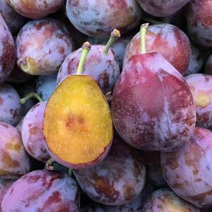 法兰西 西梅 红西梅