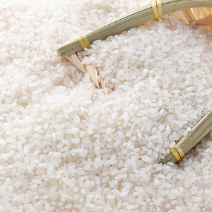 2017年新米100kg 苏北屠园红稻花香大米苏北宿迁农家非转基因大米