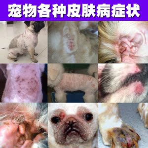 宠物皮肤病狗癣猫癣外用药膏喷剂真菌感染螨虫湿疹瘙痒药102人付款58