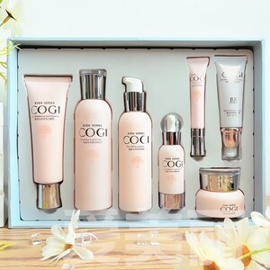 化妆品高姿套装正品七件套