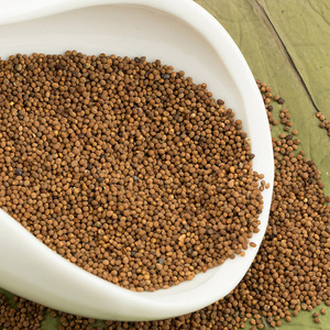 中药材菟丝子兔丝子川菟丝吐丝子四川菟丝子茶新货500g克2件包邮