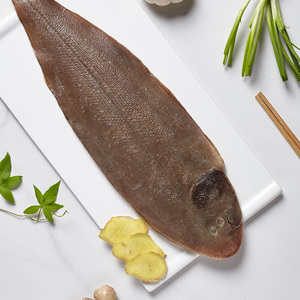 【鲜活龙舌鱼】鲜活龙舌鱼品牌,价格 - 阿里巴巴