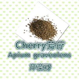 芹菜籽精油简装10ml,抑制络氨酸酶(黑色素的前驱物质)净化肝脏