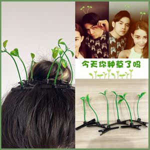 热卖一件包邮 卖萌神器小草发夹搞怪豆苗边夹发卡小豆芽头上长草